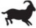 goat.png