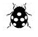ladybug.png