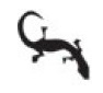 lizard.png