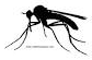 mosquito.png