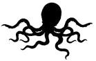 octopus.png