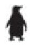 penguin.png