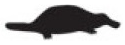 platypus.png