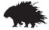 porcupine.png