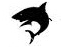 shark3.png