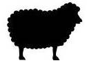 sheep.png