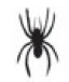 spider.png