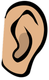 ear