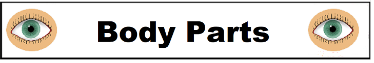 Body Parts