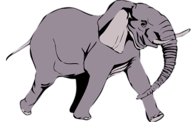 elephant