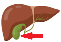 biliaire.png