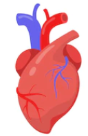 coeur.png