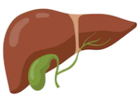 foie.png
