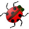 coccinelle