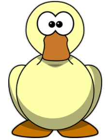 duck