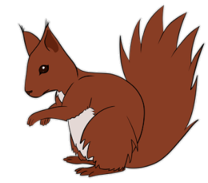 ecureuil