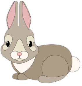lapin