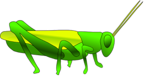sauterelle