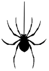 araignee