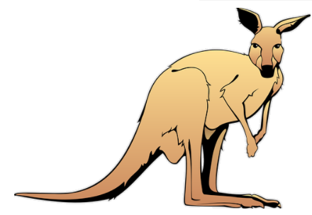 kangaroo