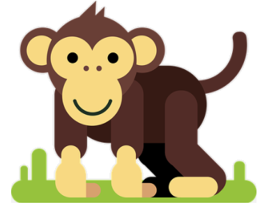 monkey