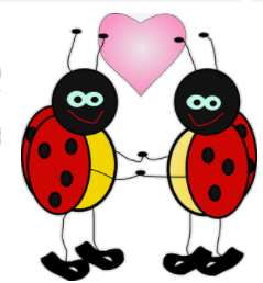 love bugs