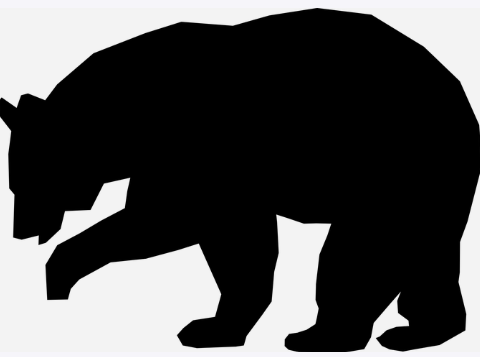 bear1.png