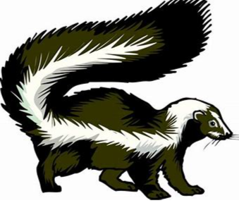 skunk1.png