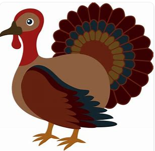 turkey1.png