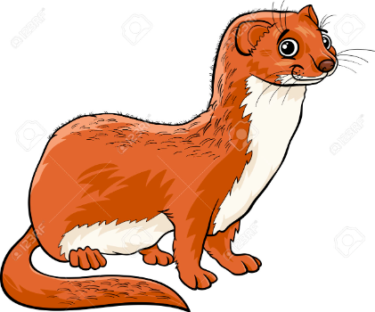 weasel1.png