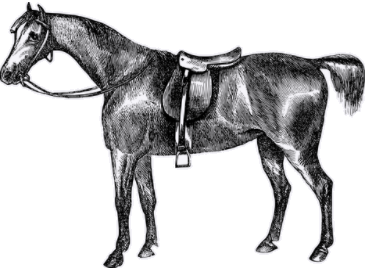 cheval