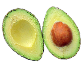 avocado
