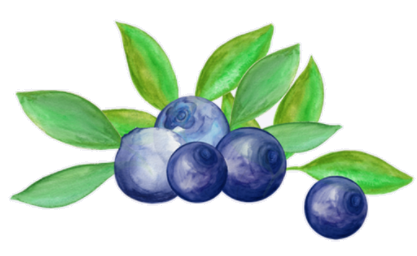 blueberries
