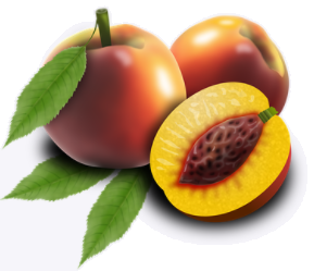 peaches