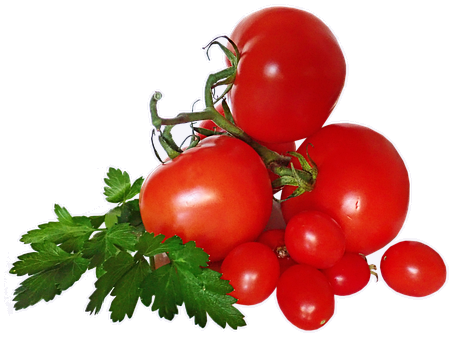 tomatoes