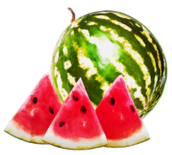 watermelon