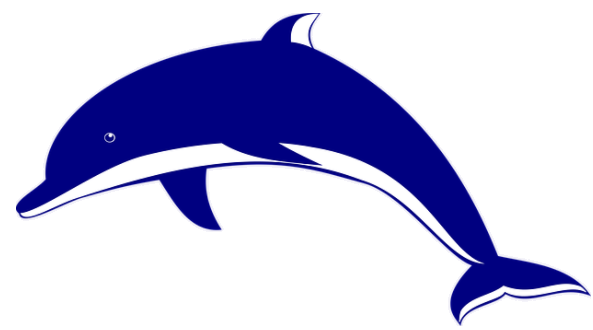 dolphin