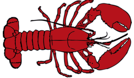 lobster