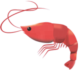 prawns