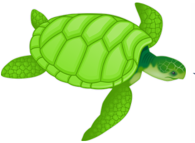 sea tirtle
