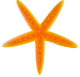 starfish