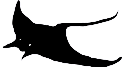 stingray