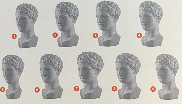 Find the identical pairs