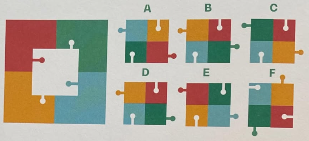 Find The Missing Puzzle Piece