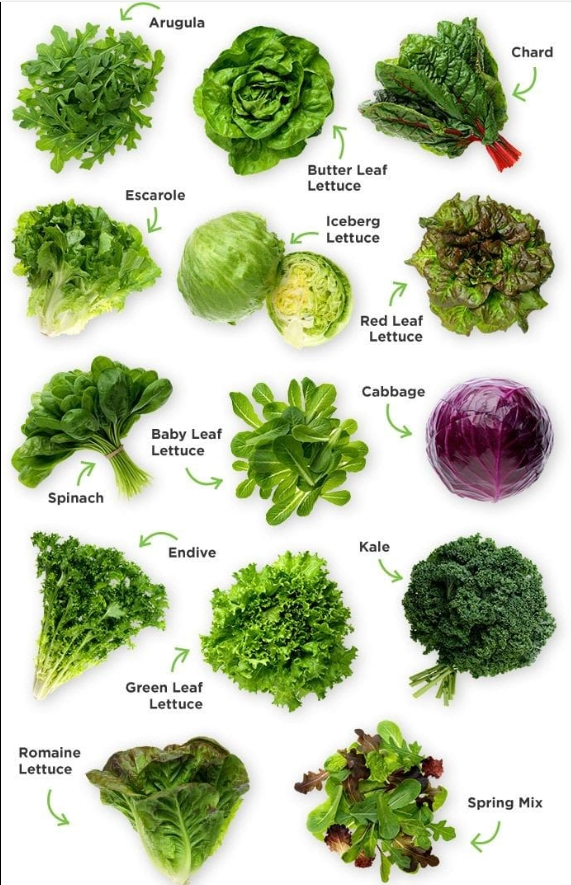 Lettuce Heads