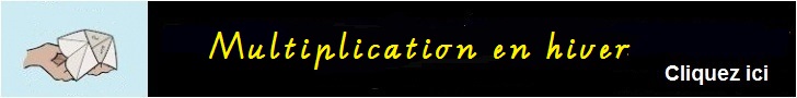 Multiplication en hiver