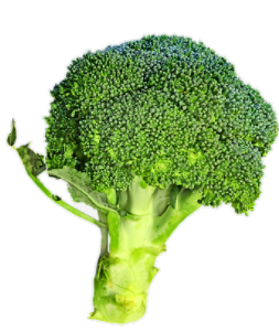 broccoli.png