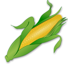 corn