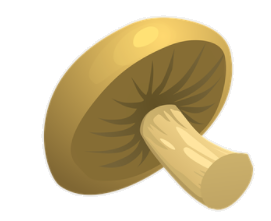 mushroom