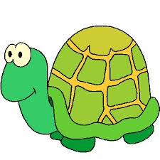 tortues